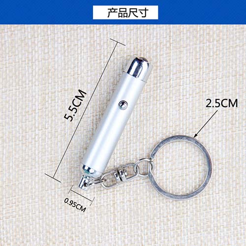 UV Light Keyring